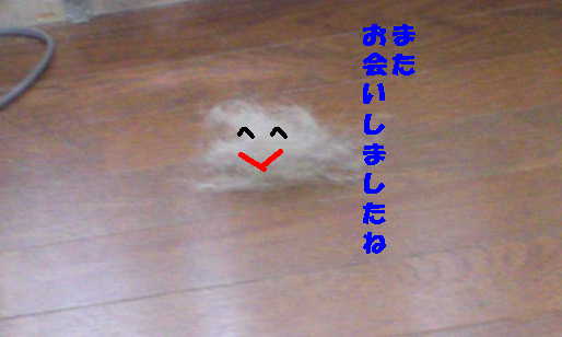 毛玉