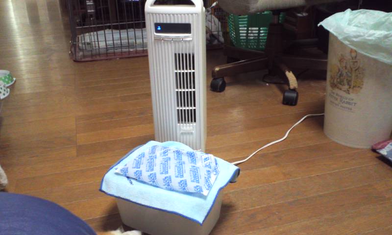 扇風機