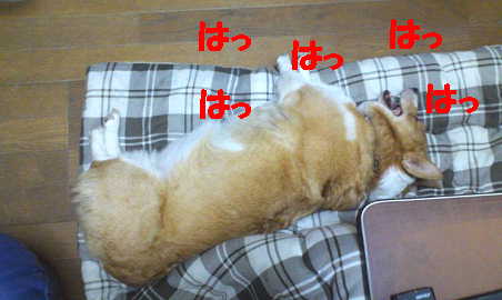 マヤリン4