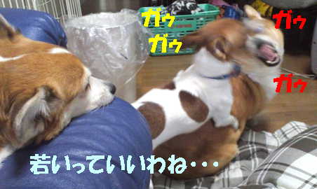 ぺこマヤリン