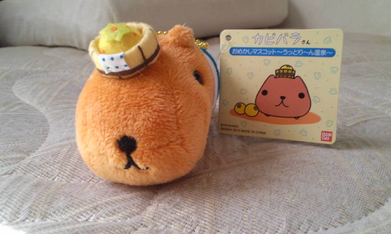 カピバラ