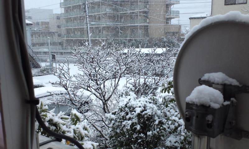 初雪