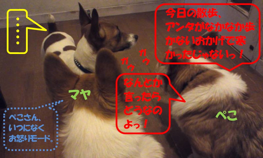 ぺこマヤリン2