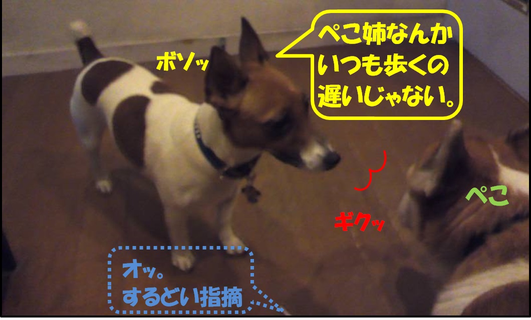 ぺこマヤリン3