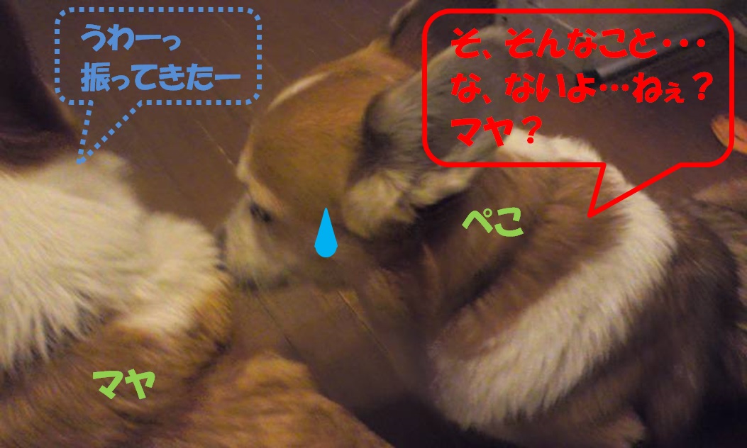 ぺこマヤリン4
