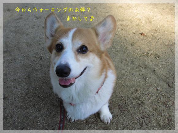 今から歩くの?