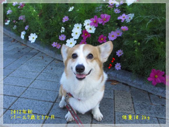 パール7歳と2か月