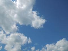 DSCN0344 (640x480)