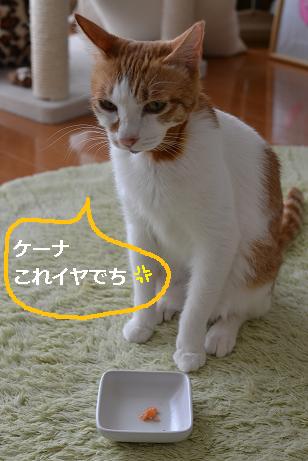 DSC_0129 - コピー