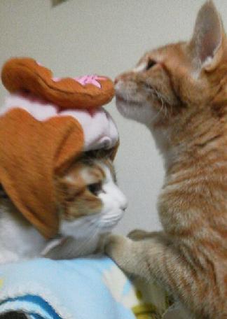 2013010621450003.jpg
