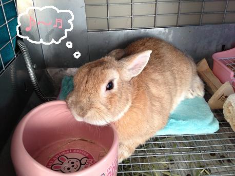 写真 (3)