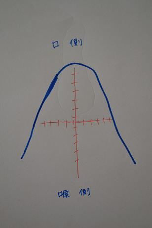 DSC_0006_20120611120537.jpg