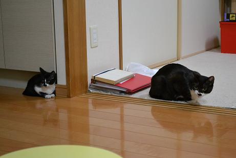 DSC_0019_20130114181314.jpg