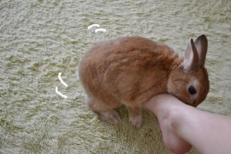 DSC_0048_20120728220203.jpg