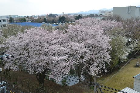 DSC_0064.jpg