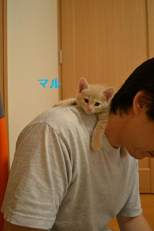 DSC_0089_20121017170922.jpg
