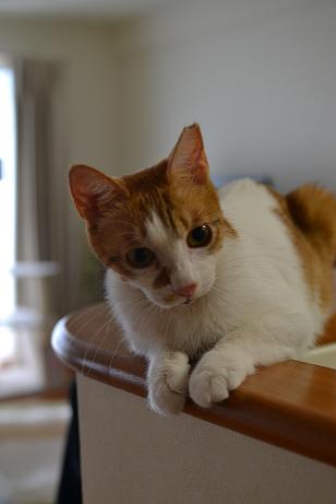 DSC_0091.jpg