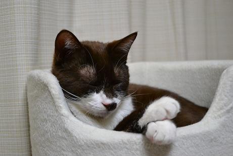 DSC_0110_02.jpg