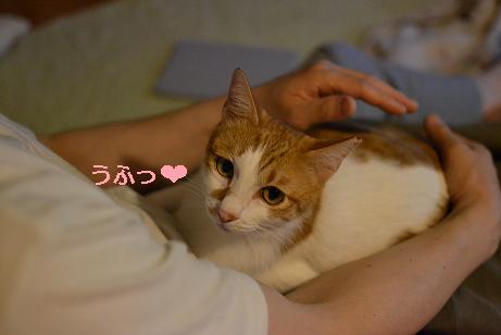 DSC_0122_20120515121345.jpg