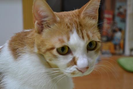DSC_0331.jpg