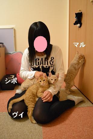 DSC_0520_20121209150414.jpg