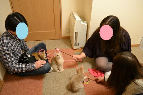 DSC_0749_20121224124424.jpg