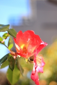 IMG_8863.jpg