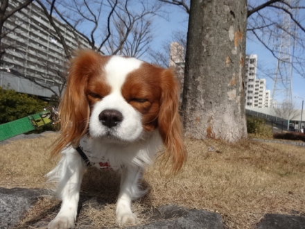 着いたぞー