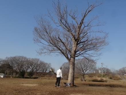 いつも同じ