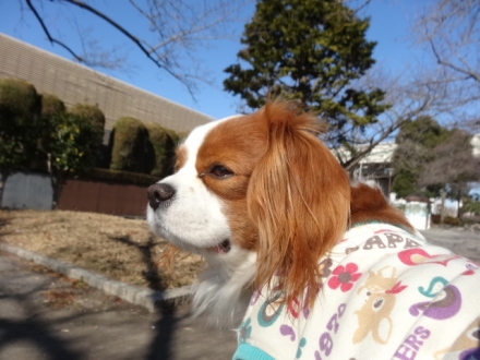 私の太もも