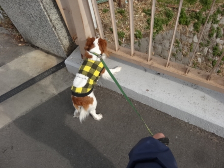 覗くな