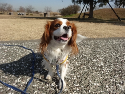 休ませろ