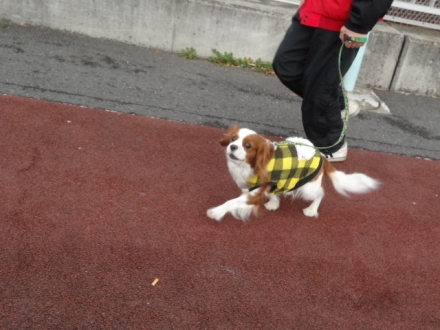 覗いたな