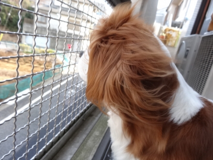 見えないよ