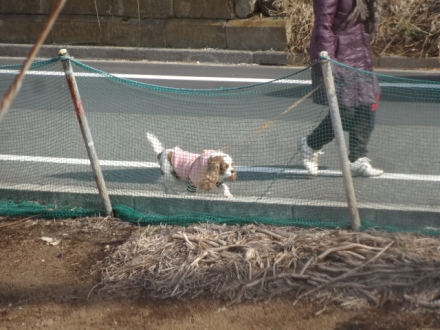 良かった