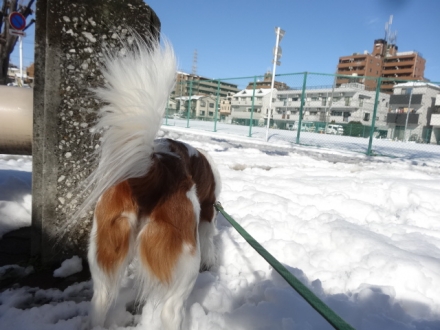 お互いに