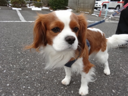 仕方ないな