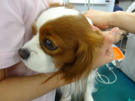 良かったね