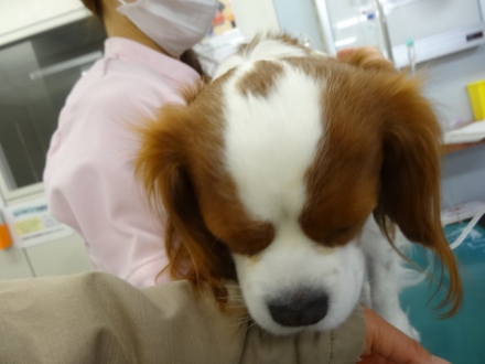 駄目じゃん