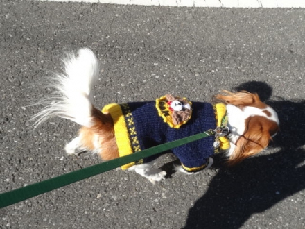 取り外し可能