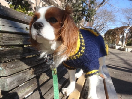 寂しいな