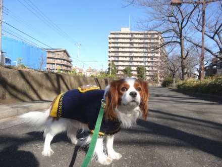 帰りたくないな