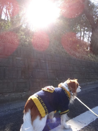 疲れるのだ