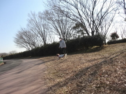 あれ?