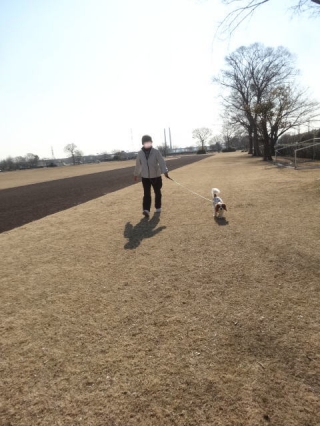 並んで歩くのだ