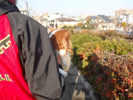 居るも~ん