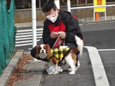 していたのね