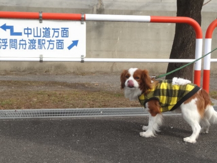 中山道?