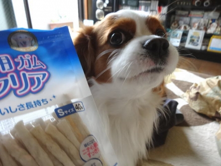低脂肪なのだ