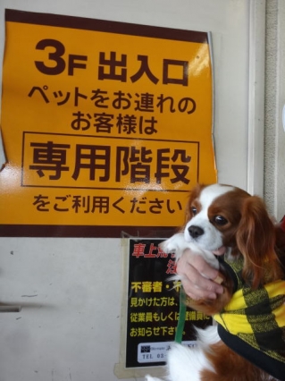 隔離